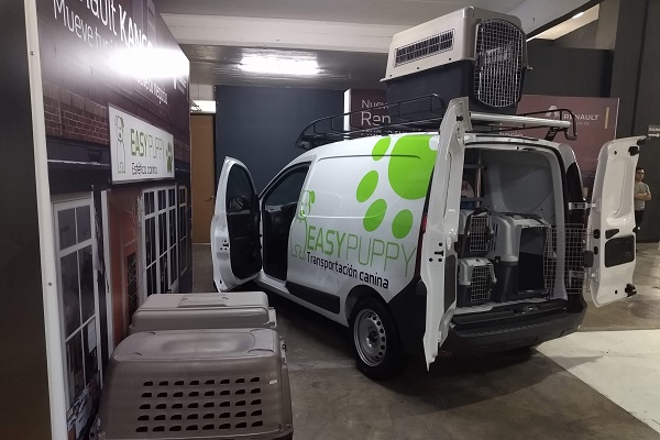 Renault Kangoo 2019