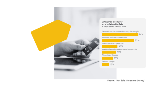 Hot Sale: Consumer Survey
