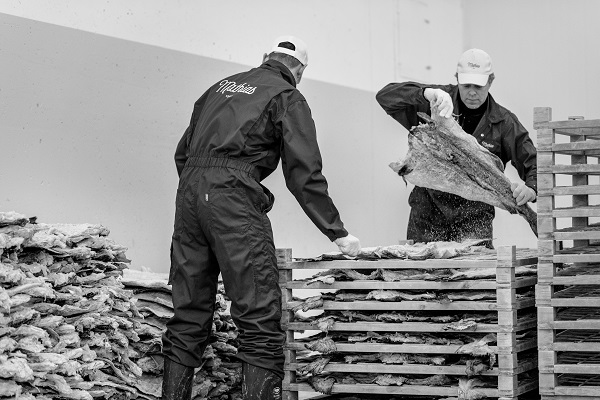 Nueva presentación de Bacalao Noruego fácil de preparar