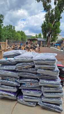 Croquetón 2024 recolecta cuatro toneladas de alimento para perros y gatos que sufren abandono
