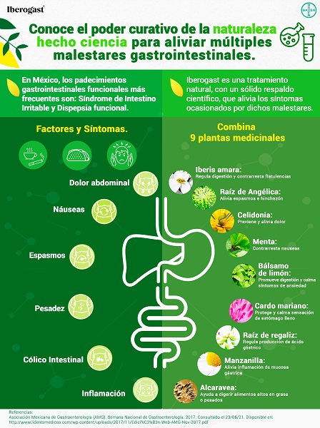 El poder curativo de la naturaleza para aliviar malestares gastrointestinales