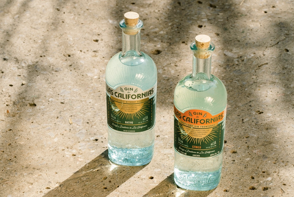 Gin Las Californias conmemora el Día Mundial del GIN