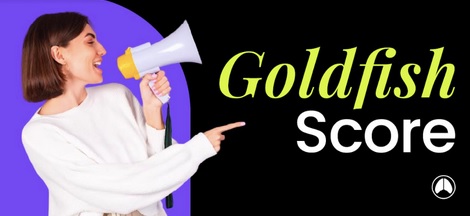 Goldfish Score, herramienta para la mejor selección de creadores de contenido