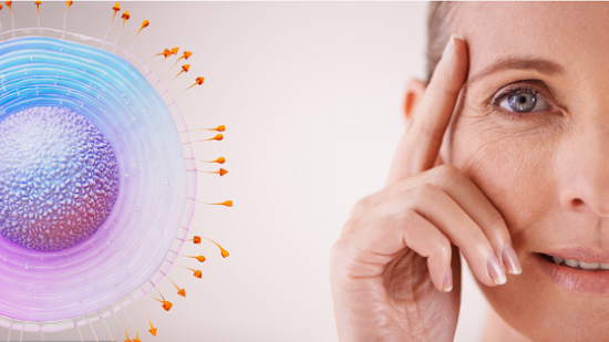 Herpes zóster: una amenaza desconocida por un tercio de las personas de 50+ 
