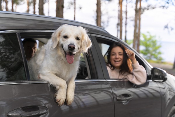 Tips para viajar con tu mejor amigo y celebrar su día