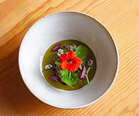 OpenTable, Íconos, restaurantes México, gastronomía mexicana, reservas restaurantes, guía gastronómica