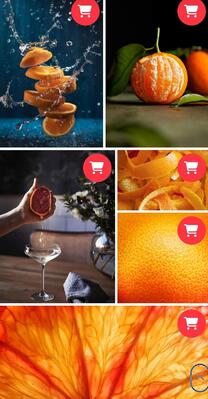 Shutterstock