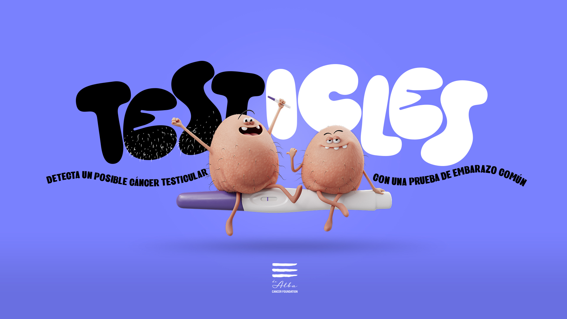 testicles