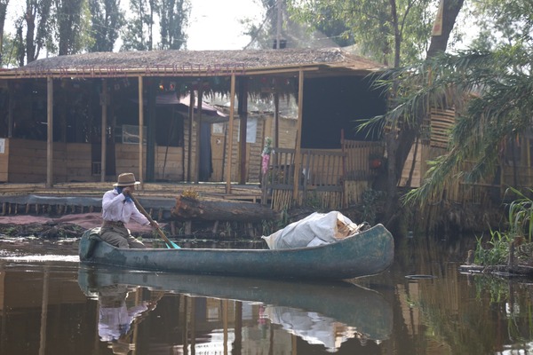 Hombre en una chinampa en los canales de Xochimilco