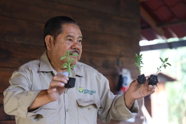 Hombre sosteniendo plantas en las manos