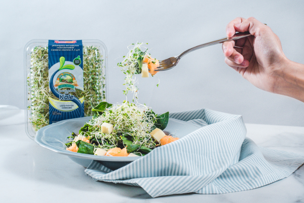 Ensalada