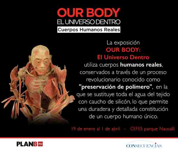 Tras haberse presentado en más de 200 ciudades alrededor del mundo, Producciones PlanBmx trae a la CDMX “OUR BODY, El Universo dentro”, una exhibición científica y educativa