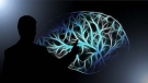 Hablar más de un idioma cambia tu cerebro: así lo demuestra la neurociencia 