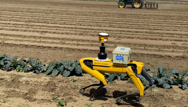 Robot agrícola