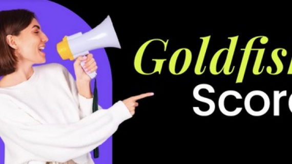  Goldfish Score, herramienta para la mejor selección de creadores de contenido