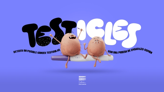 testicles