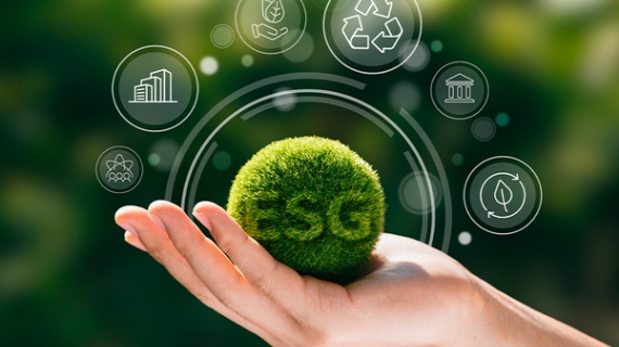  Inversiones ESG, ¿Cuál es el panorama en México?