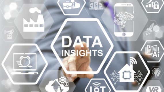 Insights de calidad para una exitosa toma de decisiones 