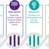 Marcas obsesionadas por el cliente