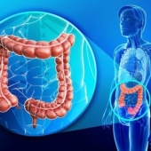 Probioticos
